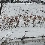 Katarzynka Kwatera prywatna Wisła