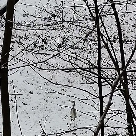 Séjour chez l'habitant Katarzynka *