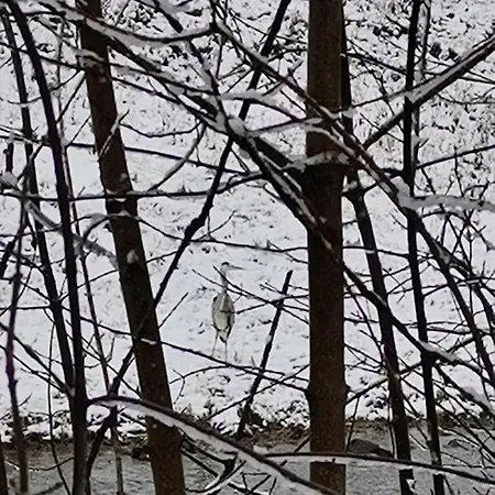 Katarzynka Séjour chez l'habitant *