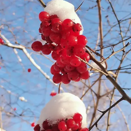 Séjour chez l'habitant Katarzynka *