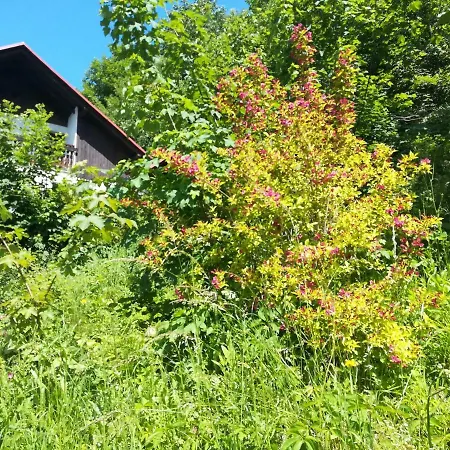 Katarzynka Séjour chez l'habitant