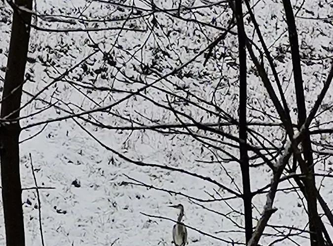 Rum i privatbostad Katarzynka *