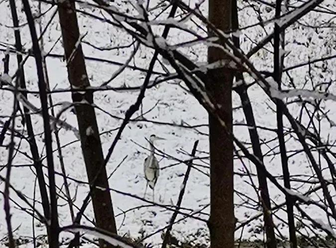 Katarzynka Rum i privatbostad *