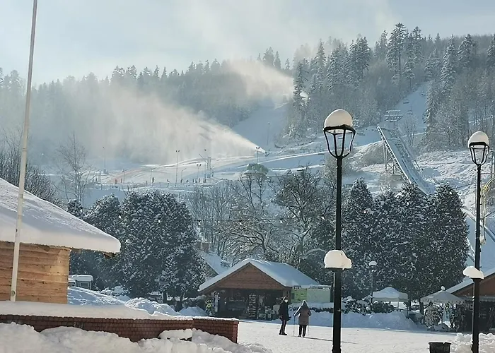 홈스테이 Katarzynka