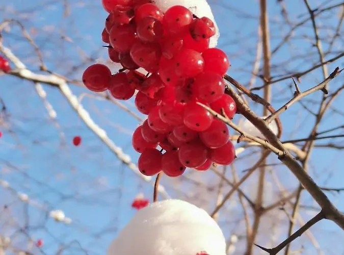 홈스테이 Katarzynka *