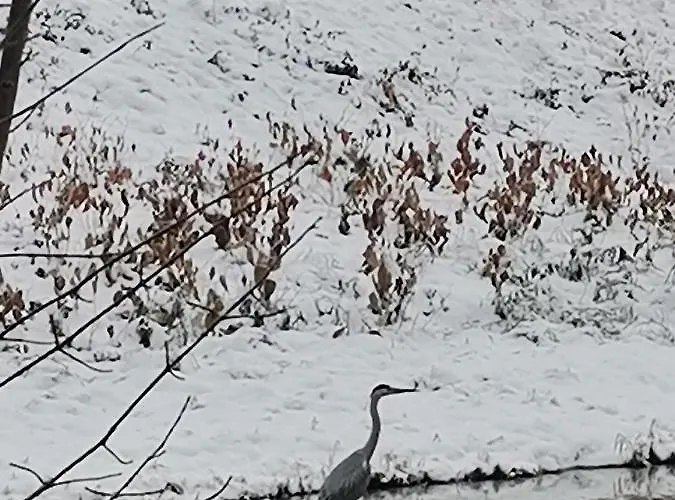 Katarzynka Homestay szállás Wisła