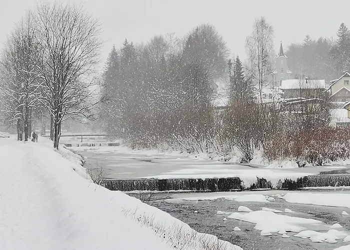 홈스테이 Katarzynka 비스와