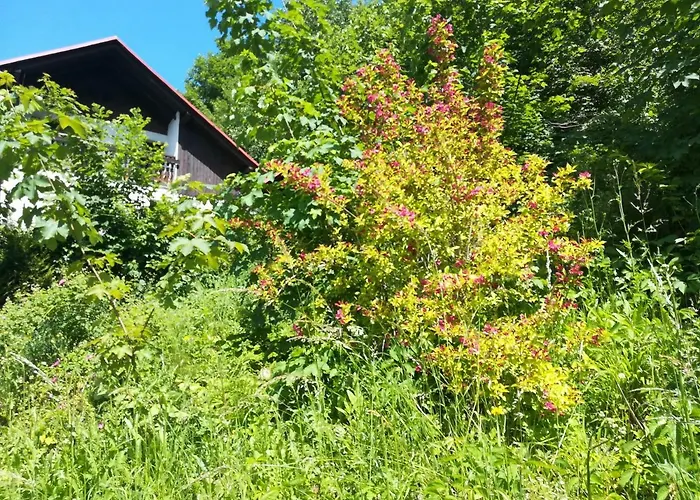 Katarzynka Rum i privatbostad